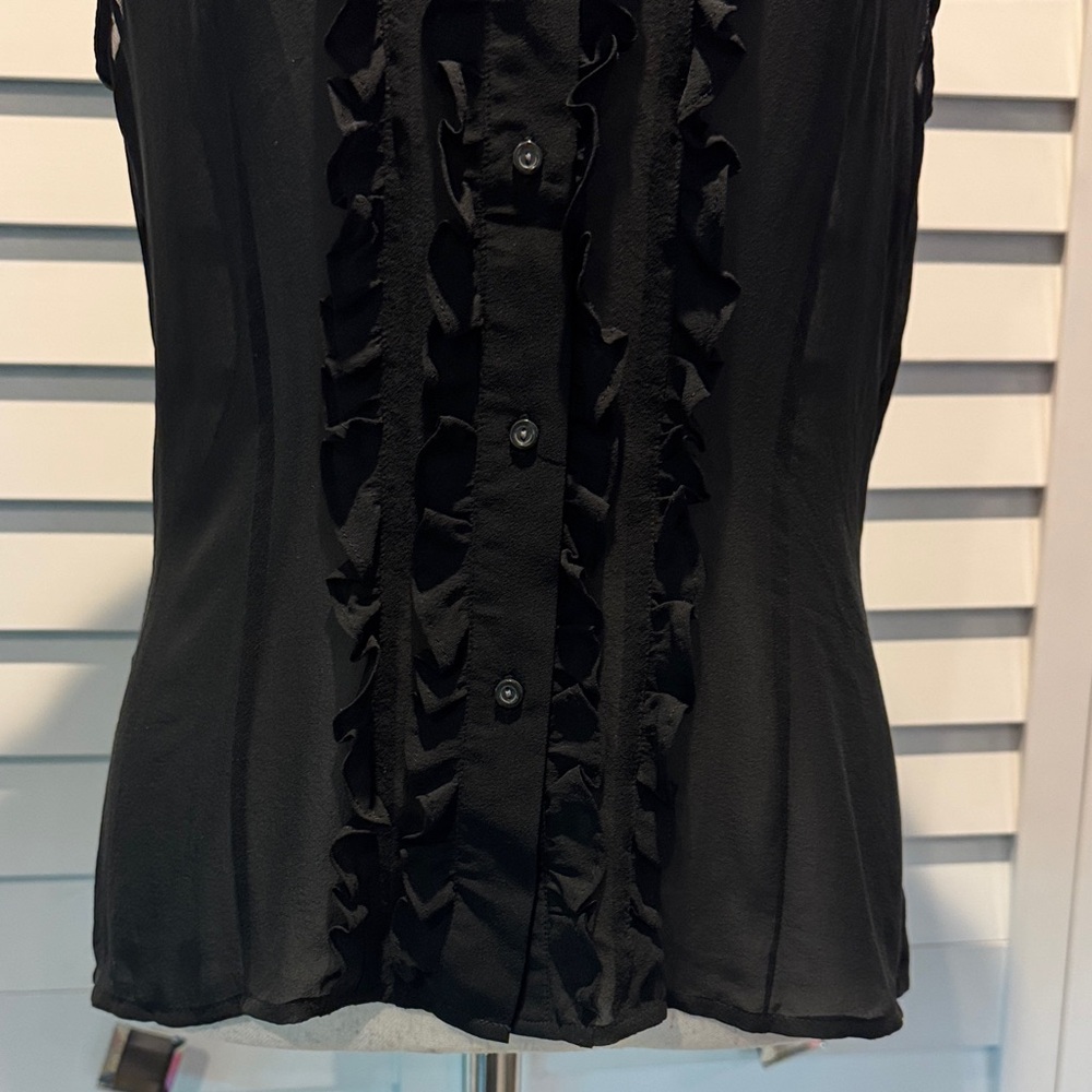 The Limited Black Ruffled button down sheer Blouse - Picture 3 of 11